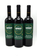 2010 Caparzo Brunello di Montalcino