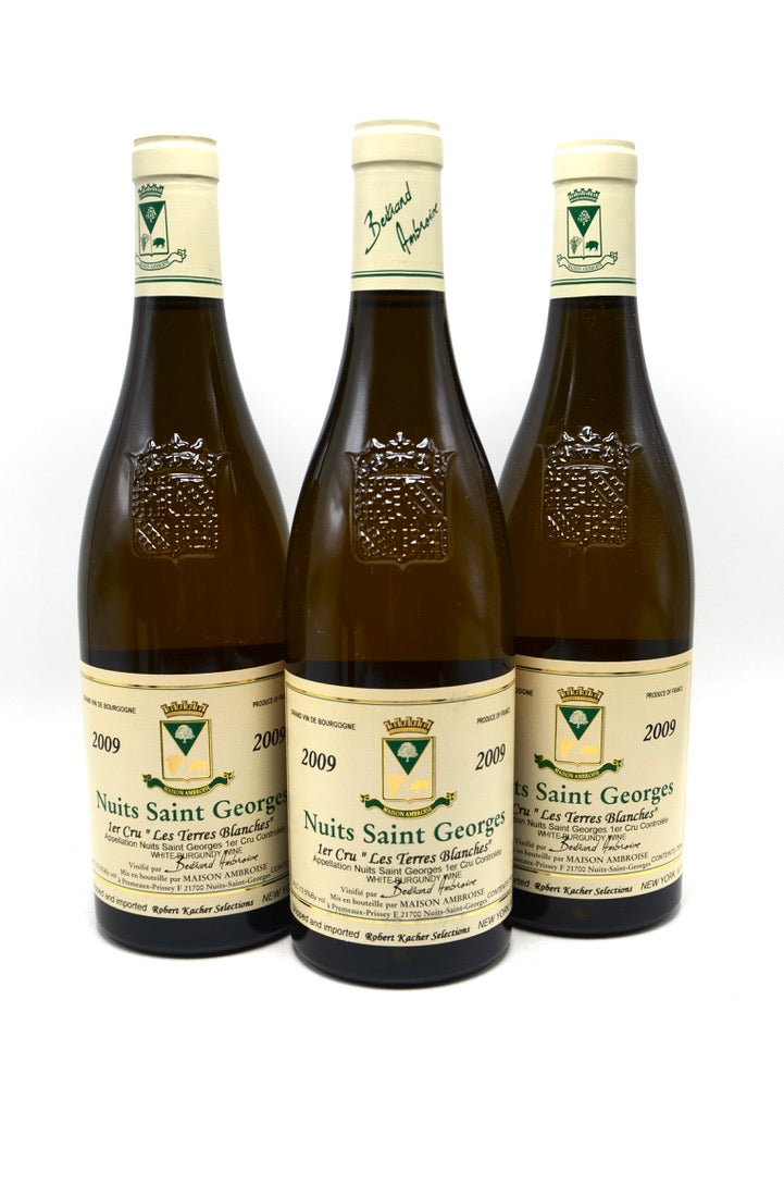 2009 Maison Bertrand Ambroise Nuits-Saint-Georges Blanc, Les Terres Blanches, Premier Cru