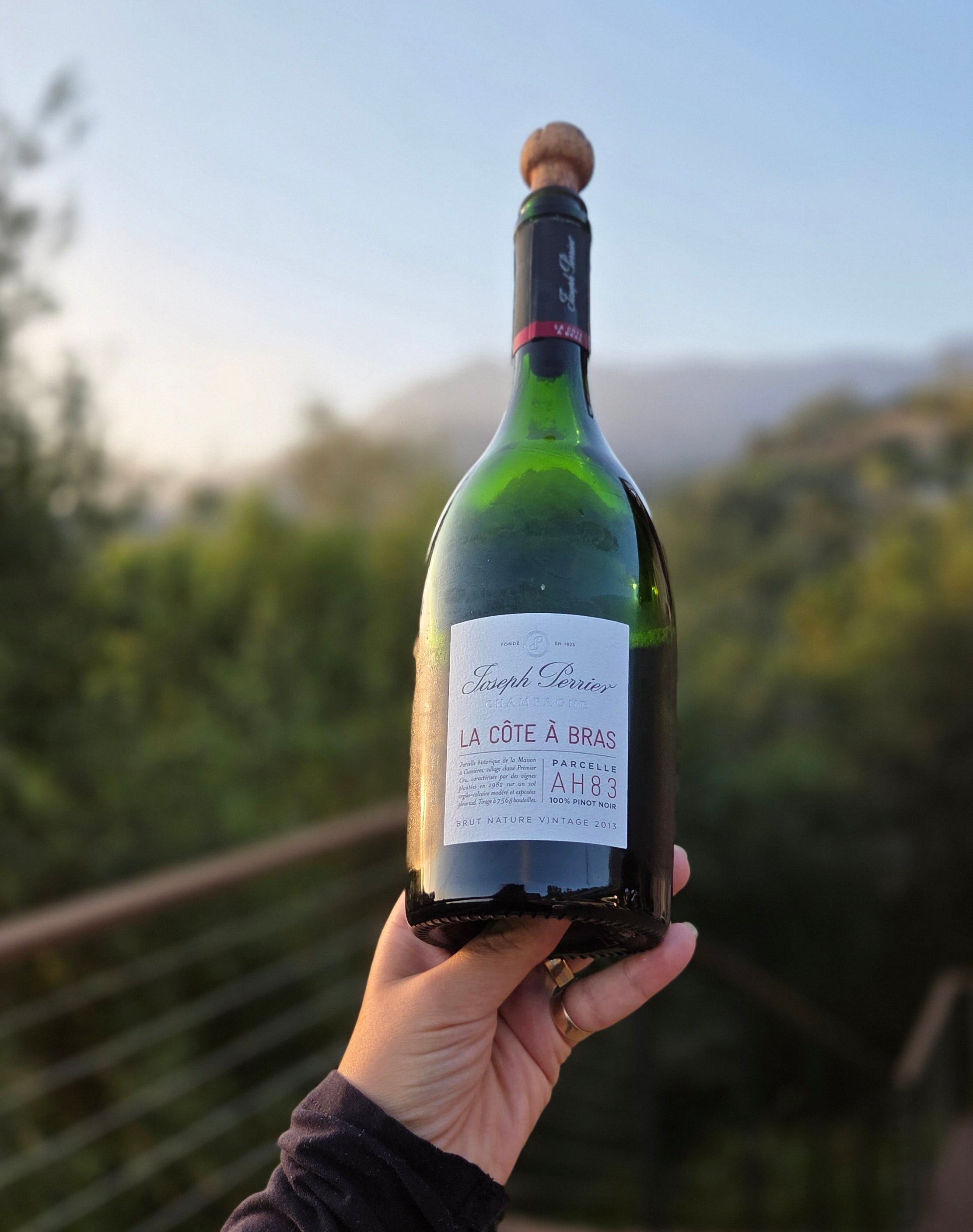 2013 Joseph Perrier La Cote a Bras Blanc de Noir Brut Nature Champagne